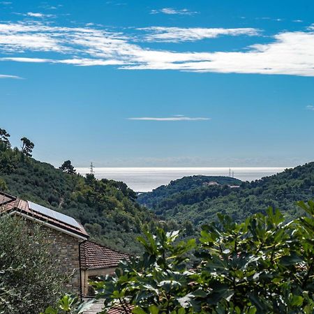 Agriturismo La Rocca Сан Бартоломео ал Маре Екстериор снимка