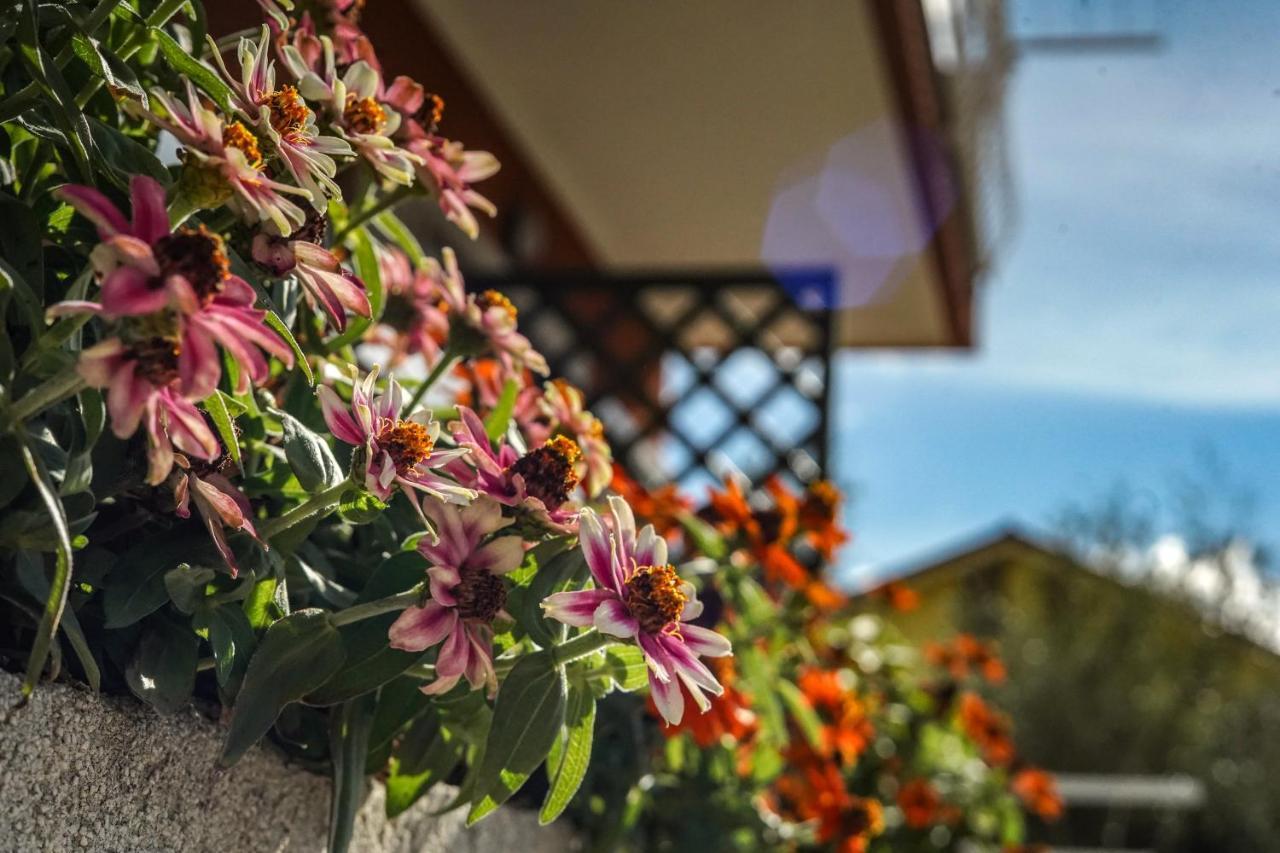 Agriturismo La Rocca Сан Бартоломео ал Маре Екстериор снимка
