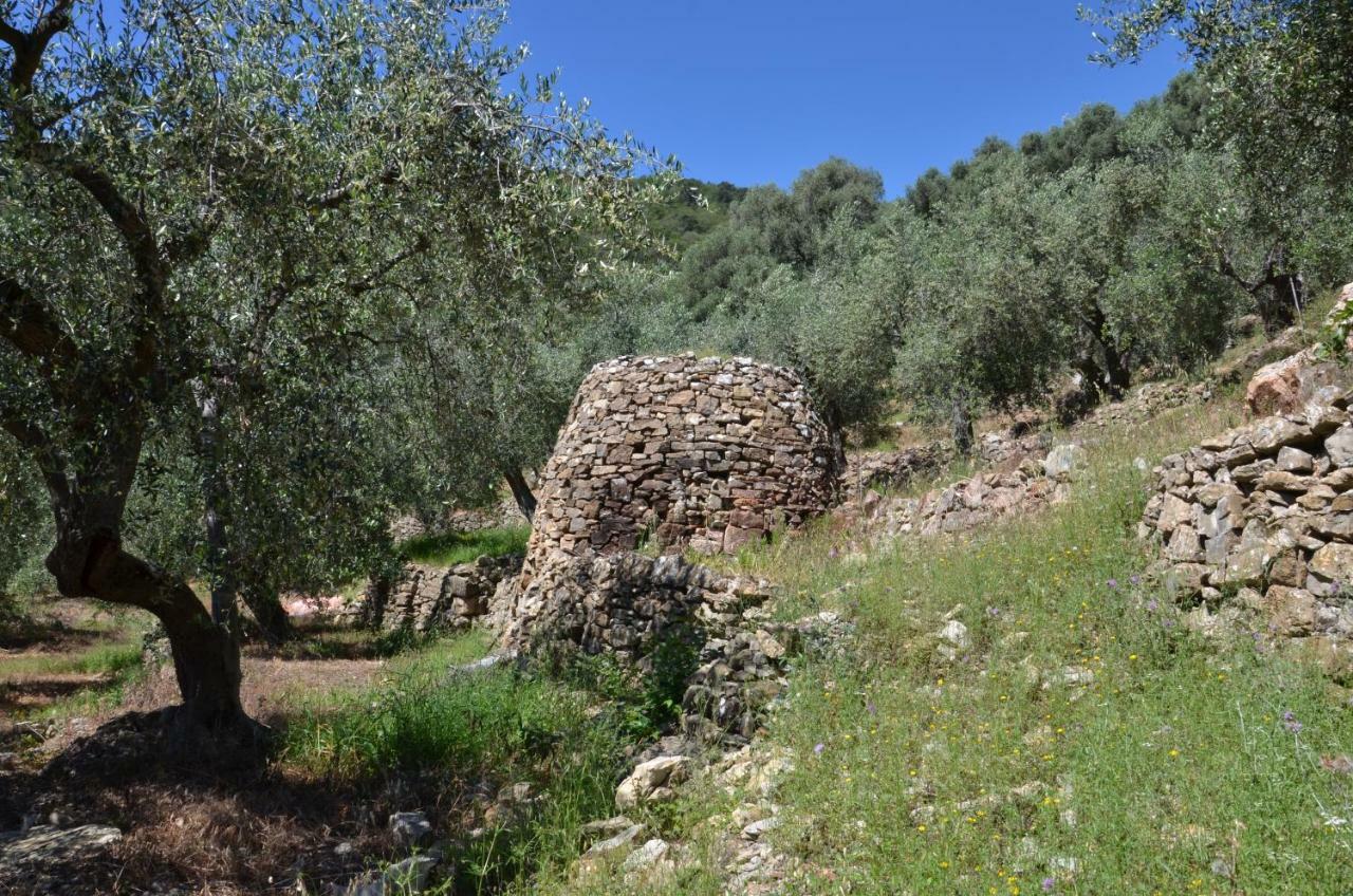 Agriturismo La Rocca Сан Бартоломео ал Маре Екстериор снимка